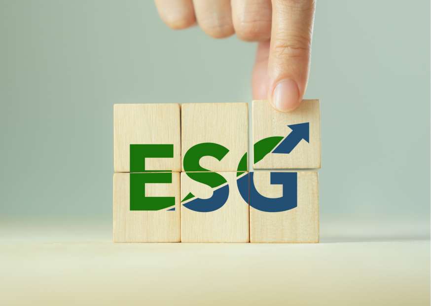 Rating ESG | Ludovico De Tomi